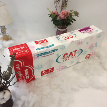 Giấy VS Cat Luxury 3L không lõi (Túi 10 + 2 cuộn)